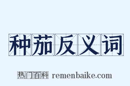 种茄反义词是什么意思的图片